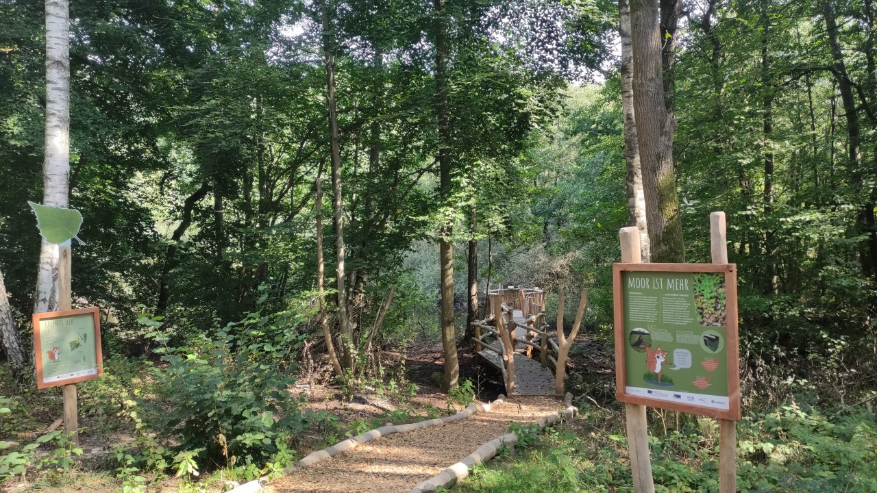 Weg ins Moor &copy; Jana Koch, &copy; Jana Koch