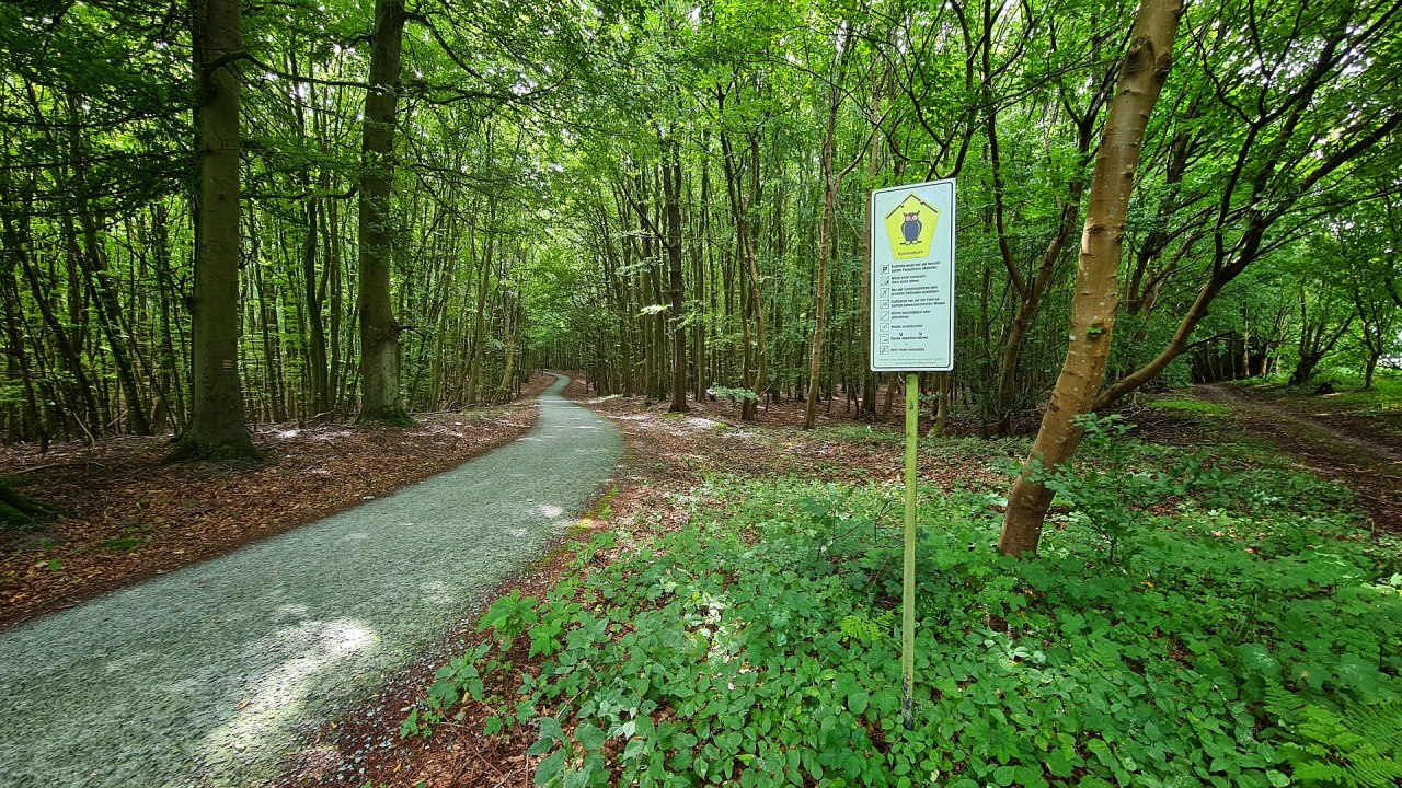 &copy; Landesforst MV