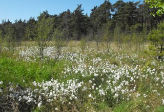 &copy; Stadtmarketing Ribnitz-Damgarten