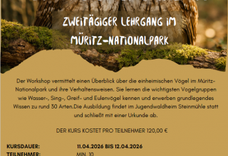 &copy; Heike Brechler