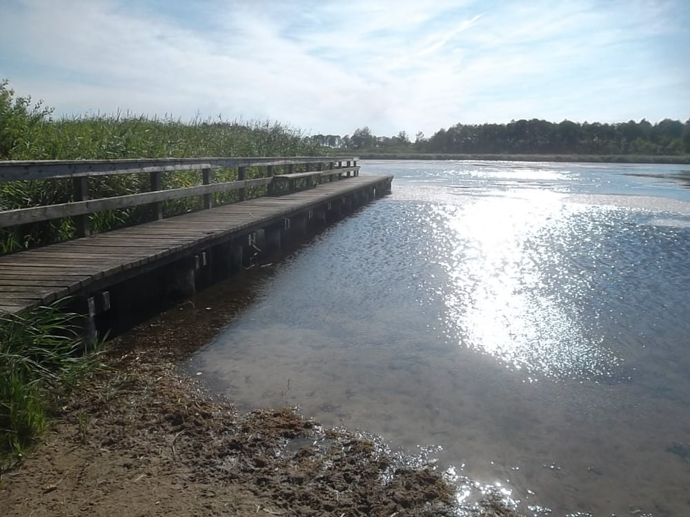 Neu Heinden lake with bathing jetty // © Mostro A.S. Hamburg Neu Heinden lake with bathing jetty // © Mostro A.S. Hamburg