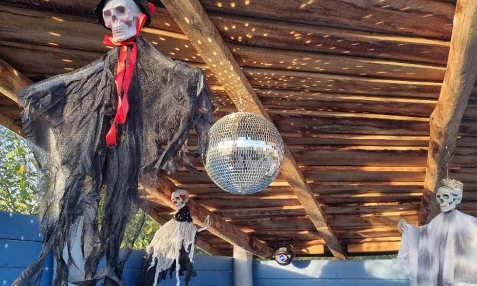 Skelet disco, © minimare der Entdeckerpark