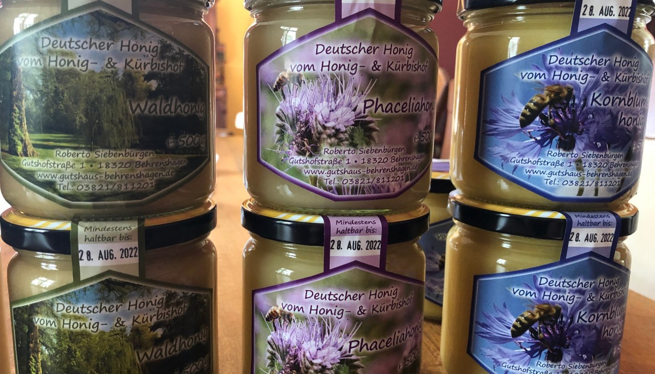 Nasze własne rodziny pszczele zapewniają r&oacute;żne rodzaje pysznego miodu przez cały rok, &copy; Britta Siebenb&uuml;rgen