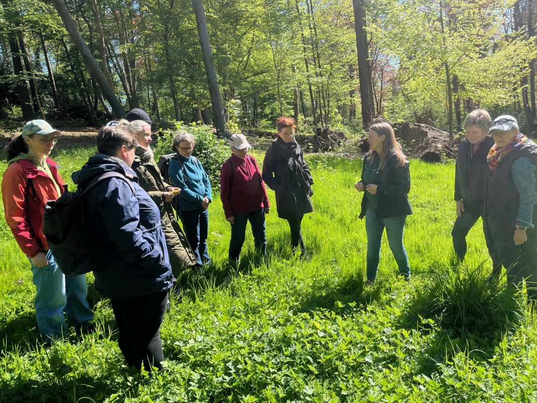 Herb round in the forest, &copy; Petra Dittmar