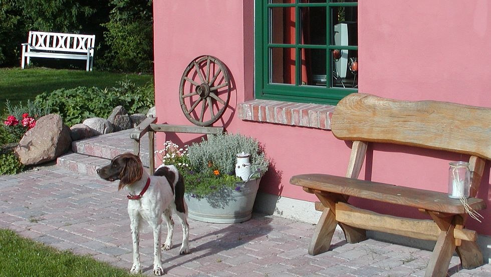 Our M&uuml;nsterl&auml;nder dog Cora in front of one of the vacation apartments // &copy; Wittenberghof