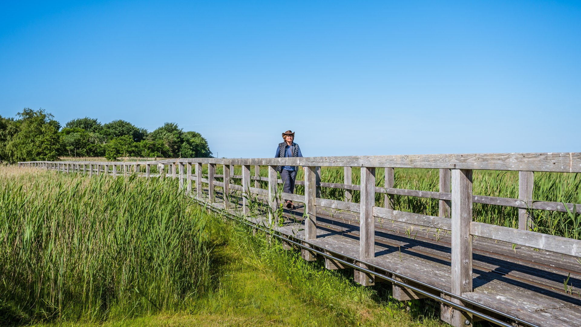 Wycieczka na wyspę Kirr w pobliżu Zingst, © TMV/Tiemann Wycieczka na wyspę Kirr w pobliżu Zingst drewnianą promenadą.