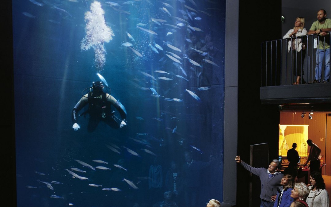 aquarium_1287408943_1, © AndeasDuerst/Werk3