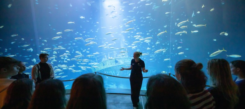 &copy; Anke Neumeister/Deutsches Meeresmuseum