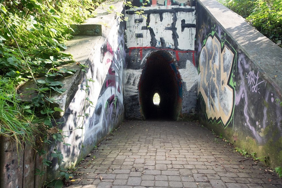 Tunel na jajka, © Frank Burger