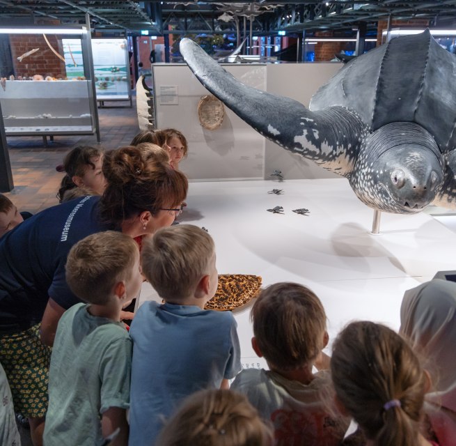 &copy; Anke Neumeister/Deutsches Meeresmuseum