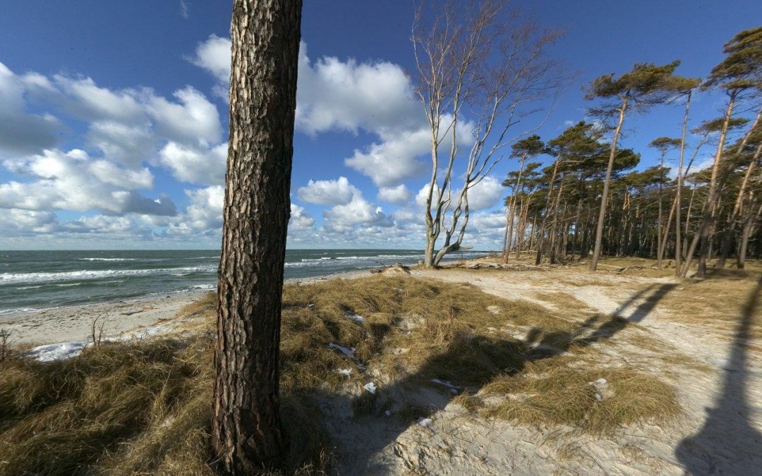 West-strand, © TV FDZ