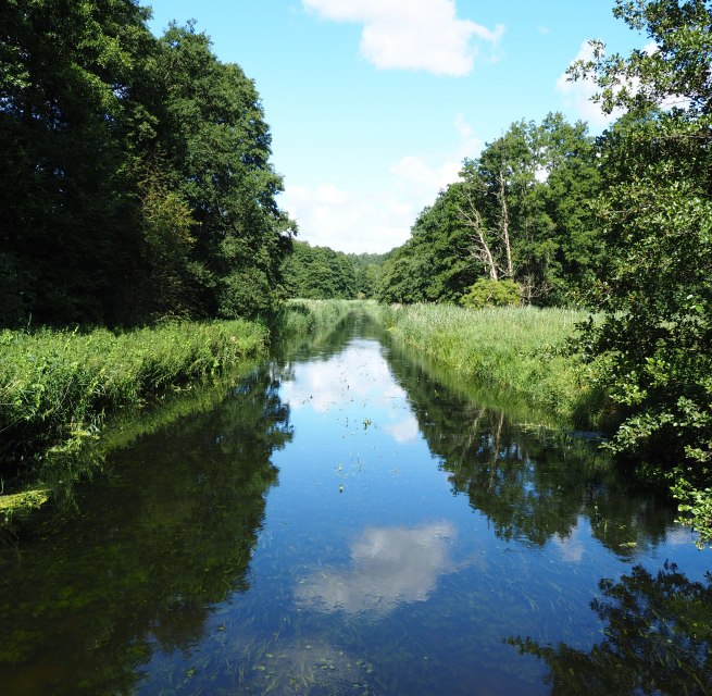 Warnow near Kaarz // &copy; Naturpark Sternberger Seenland; Volker Brandt