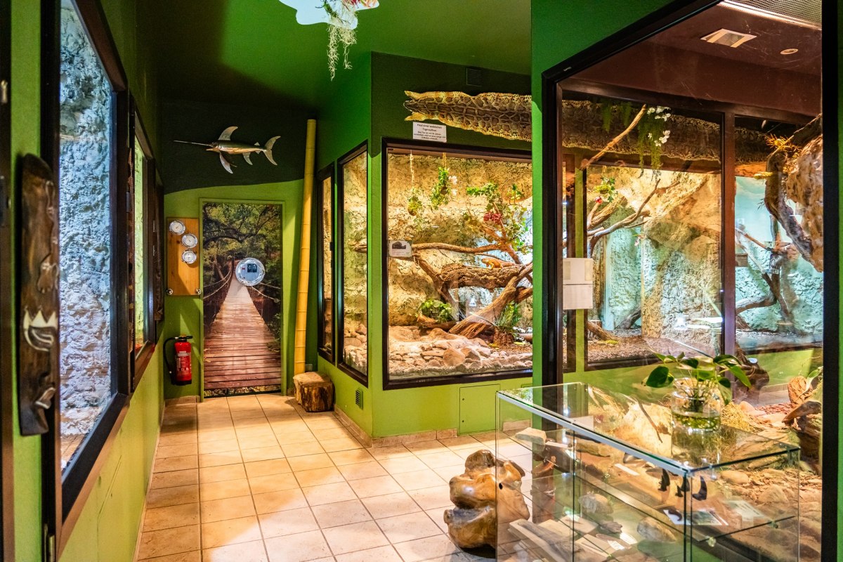 Tropikalne Zoo Bansin, &copy; Tropenzoo_Bansin_Marcel_Piper