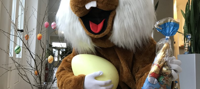 &copy; Kurverwaltung Sellin