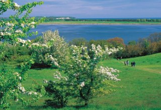 Góry Zicker na półwyspie Mönchgut na Rugii oferują zróżnicowany obszar do wędrówek połączony z widokami na ten wyjątkowy krajobraz, © TMV/Grundner Góry Zicker na półwyspie Mönchgut na Rugii oferują zróżnicowany obszar do wędrówek połączony z widokami na ten wyjątkowy krajobraz, © TMV/Grundner