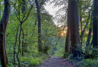 &copy; Kurverwaltung Goehren / Martin Stoever