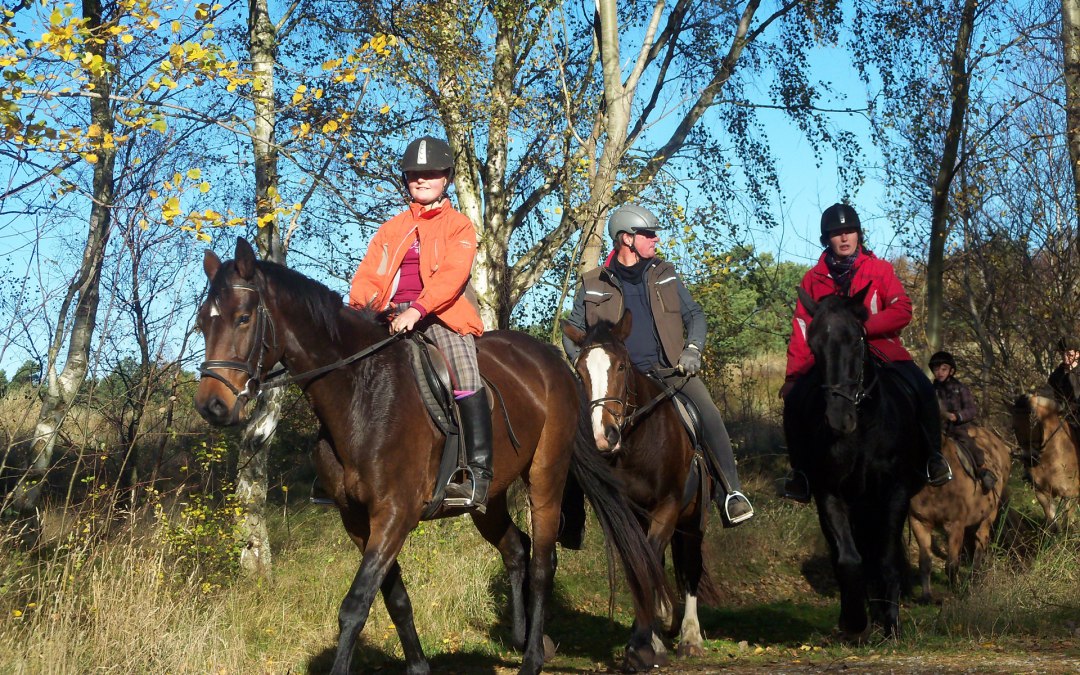 Rider on Hiddensee, © Annett Striesow