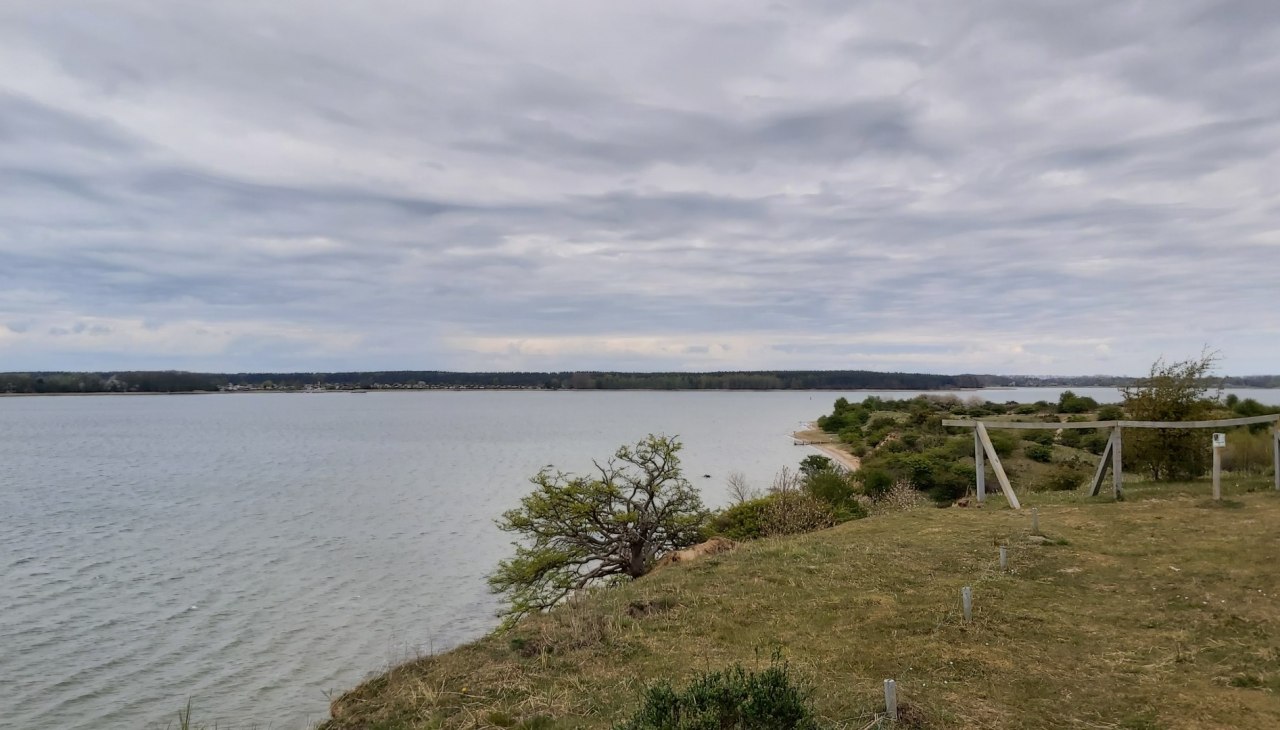 Devin, &copy; TZ HST / Kredl