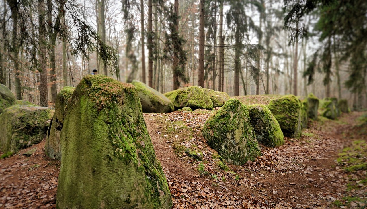 1000440917, &copy; Kristine Lenschow