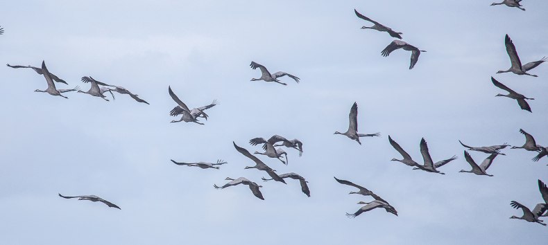 &copy; Wei&szlig;e Flotte GmbH