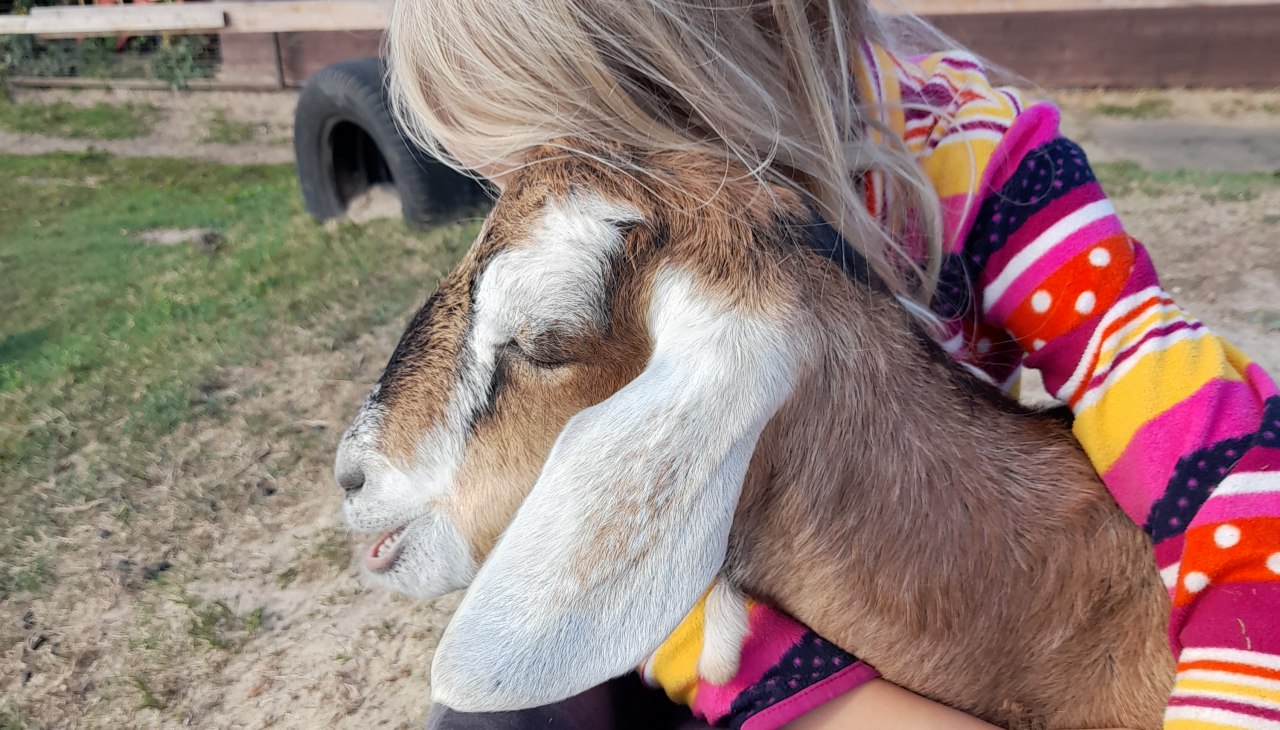 Nasz mały Burderei, © Andrea Hauser Nasz mały Burderei, © Andrea Hauser