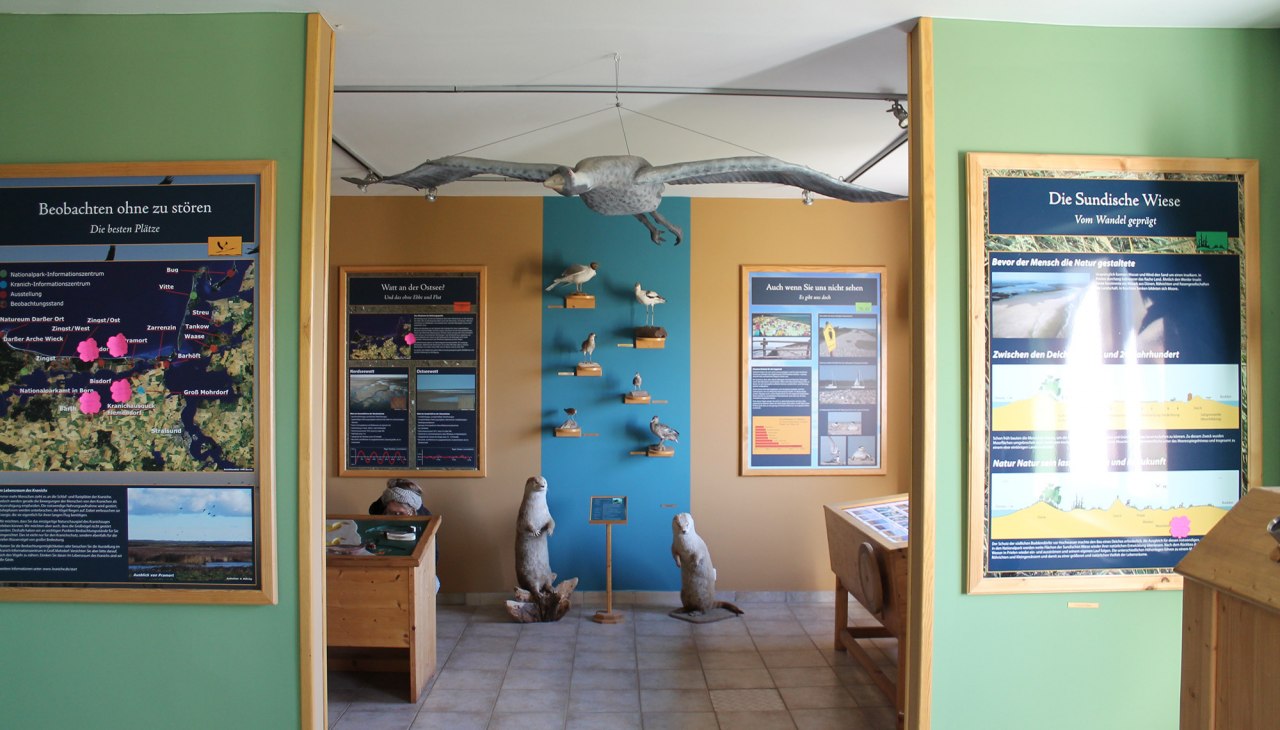 Wystawa Parku Narodowego Sundische Wiese, &copy; Nationalparkamt Vorpommern