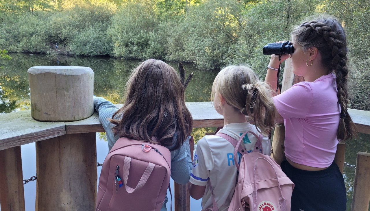 Pad naar de heide op het bosleerpad in Teterow, &copy; Julia Gnodtke