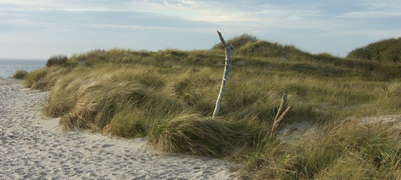 &copy; Biosph&auml;renreservatsamt S&uuml;dost-R&uuml;gen