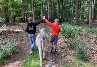 A walk at a leisurely donkey pace can be a great experience for the whole family. Donkeys are level-headed and sensitive animals that like to go on walks with human company. // © Andrea Hauser A walk at a leisurely donkey pace can be a great experience for the whole family. Donkeys are level-headed and sensitive animals that like to go on walks with human company. // © Andrea Hauser