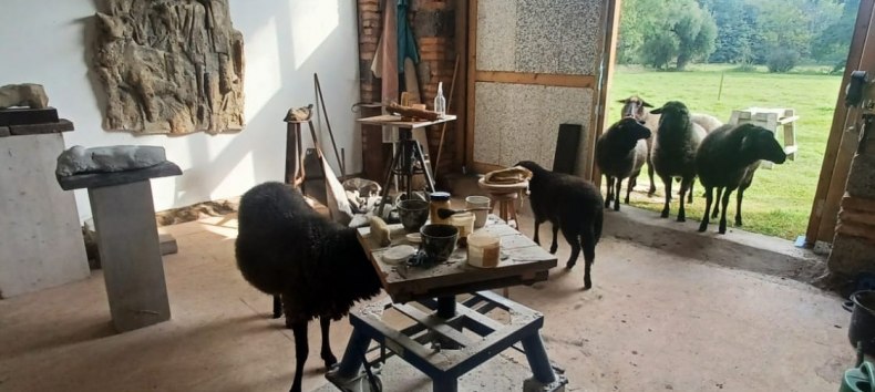 &copy; Wolfgang Baumann