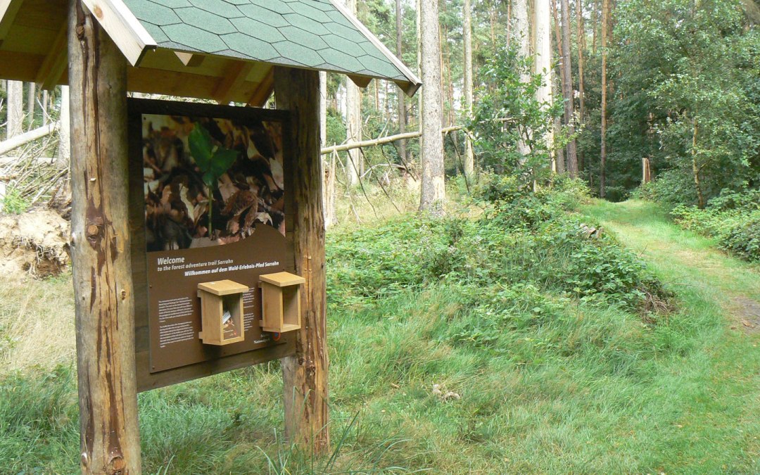 Information board of the forest adventure trail, © Nationalparkamt Müritz