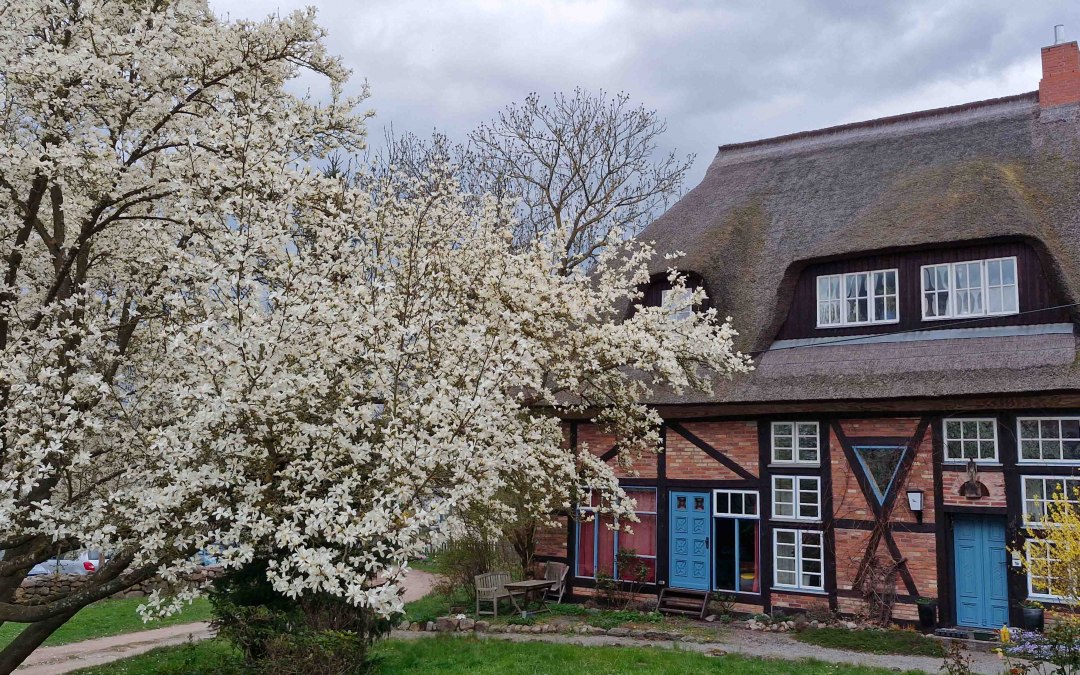 Kessin vicarage, © Martin Goffing