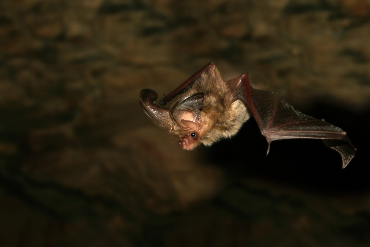 &copy; Nationalpark-Zentrum K&Ouml;NIGSSTUHL