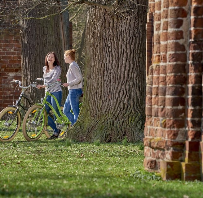 Eldena monastery ruins was the favorite motif of Caspar David Friedrich, &copy; TMV/pocha.de