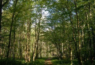 &copy; Biosph&auml;renreservatsamt S&uuml;dost-R&uuml;gen