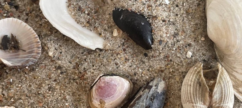 &copy; Erlebnis Akademie AG/NEZR