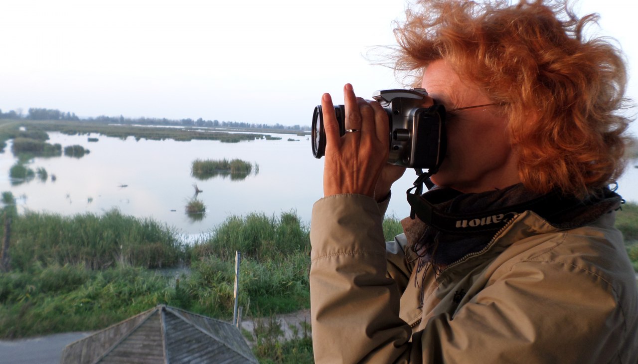 Birdwatching, © AFL