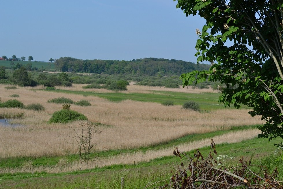 Uitzicht op de Recknitz vallei // © Lutz Werner Uitzicht op de Recknitz vallei // © Lutz Werner