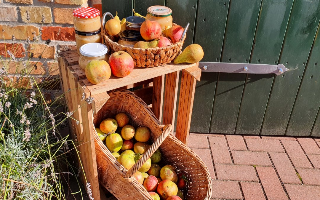 Appeldag . vers appelsap uit de pers en rasidentificatie, © S. Maus