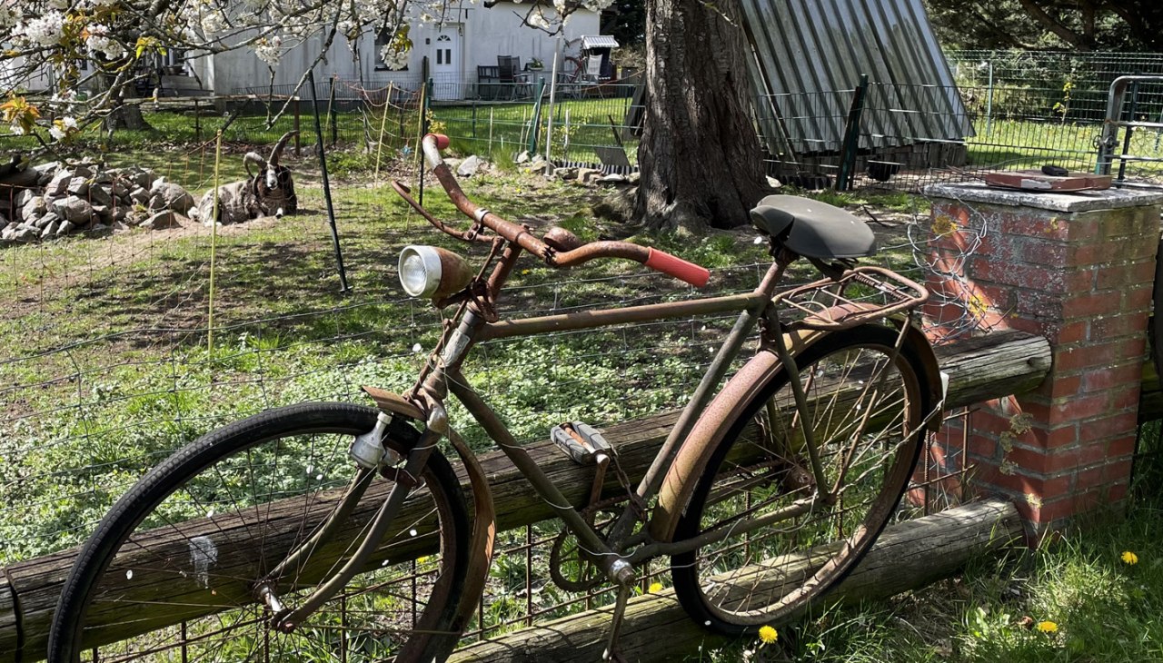 Rower 1, © Südliche Boddenküste