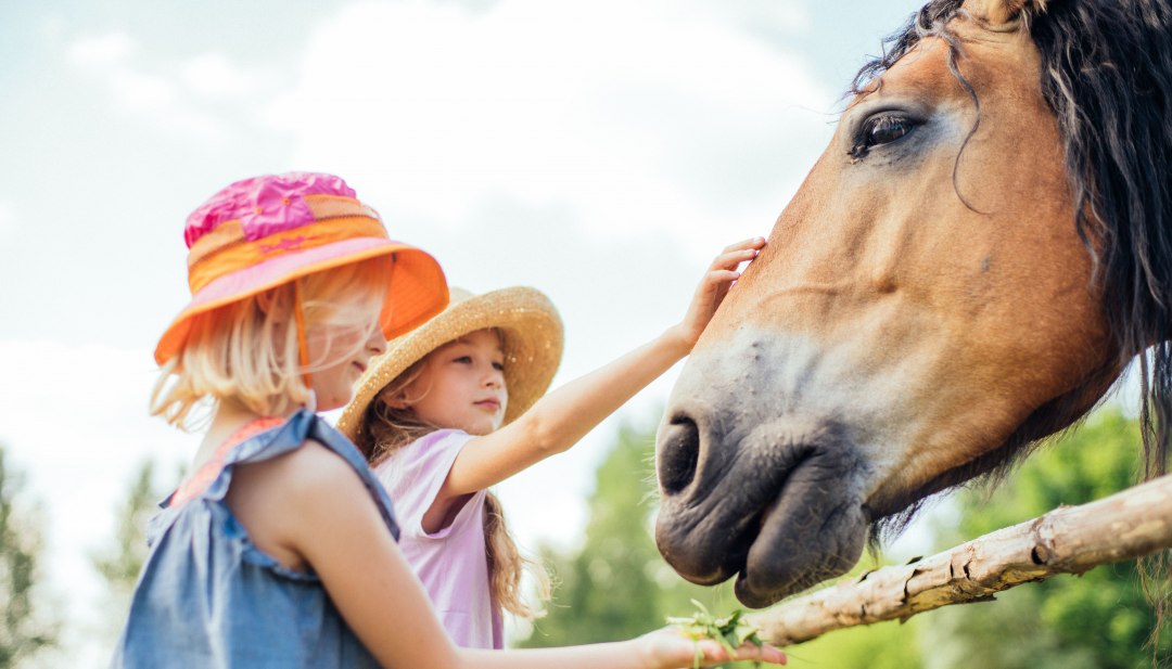 Two girls in straw hats stroke and feed a horse in the Klockenhagen open-air museum on the farm grounds. // Up close and personal with animals - an unforgettable experience for young explorers at the Klockenhagen Open-Air Museum, where history, nature and animals come to life. // © MV-T/Gänsicke Two girls in straw hats stroke and feed a horse in the Klockenhagen open-air museum on the farm grounds.