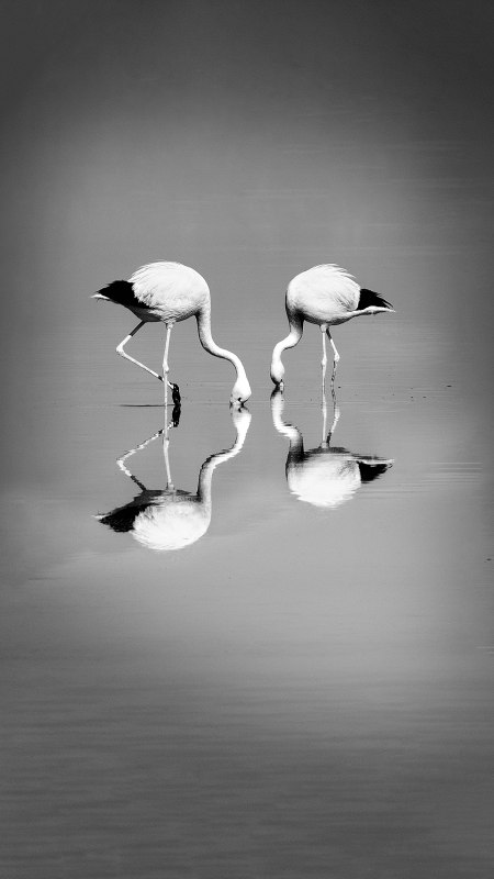&copy; Anke Berger