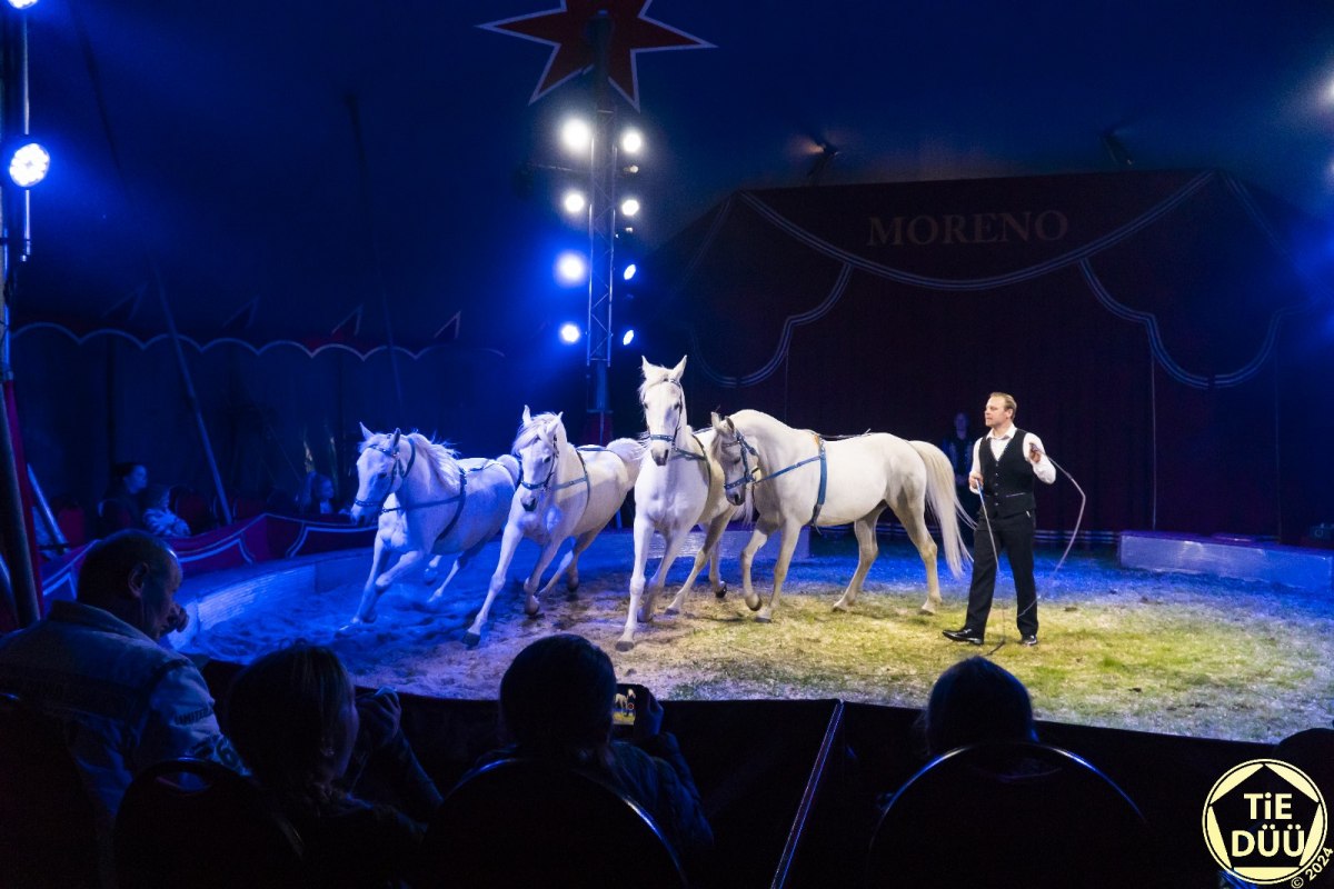© Circus Moreno © Circus Moreno