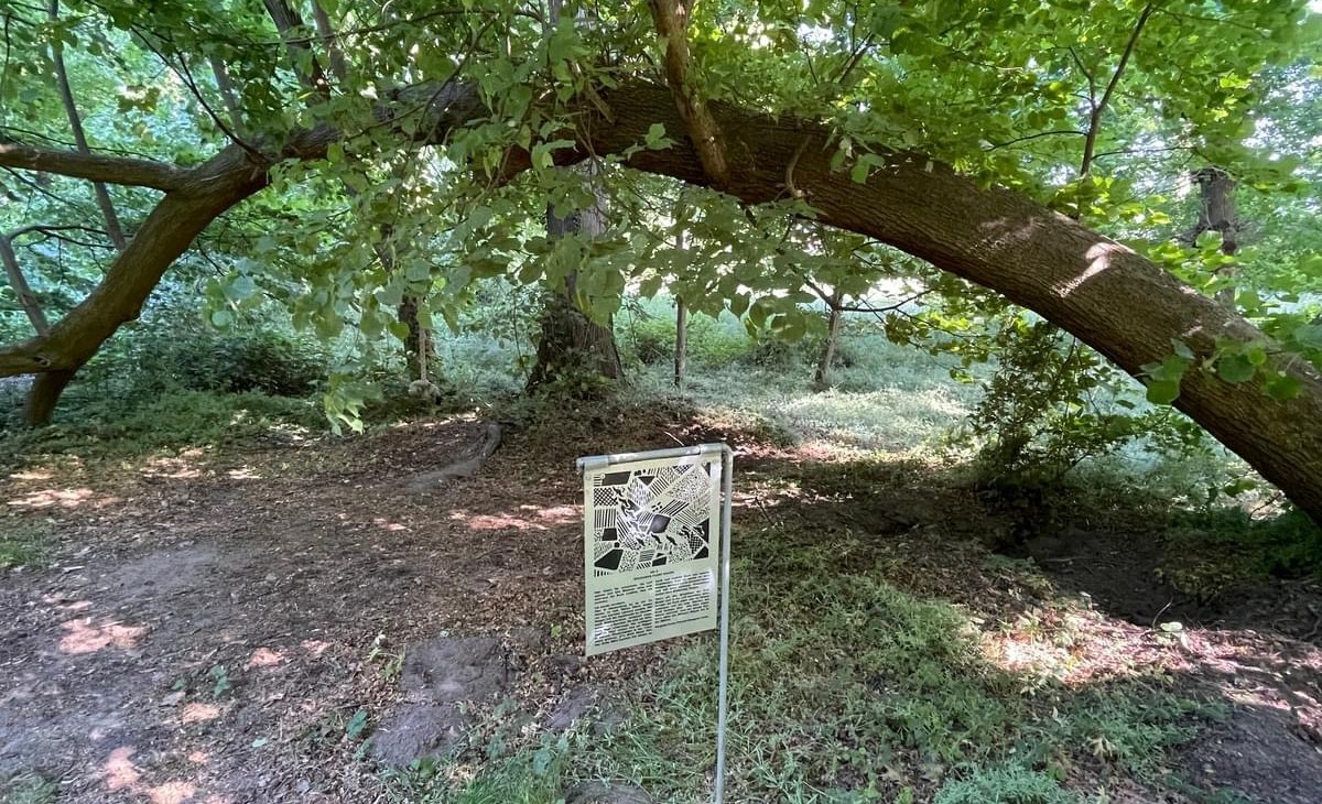 IMG_3624, &copy; TZ S&uuml;dliche Boddenk&uuml;ste