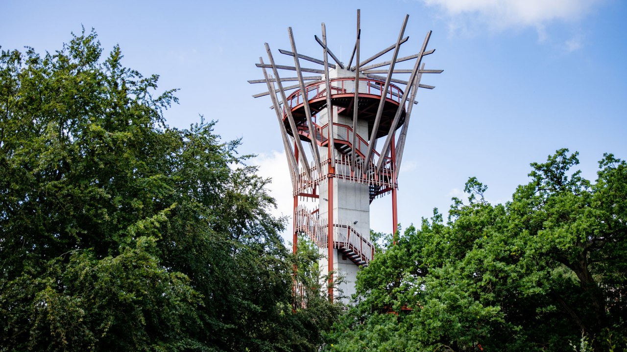 aussichtsturm1, © Landesforst MV aussichtsturm1, © Landesforst MV