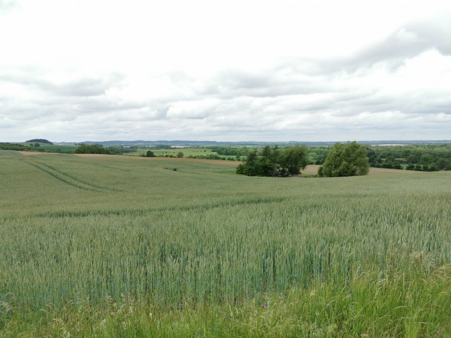 View from the Pohnstorf barbecue area, &copy; E-Bike MV