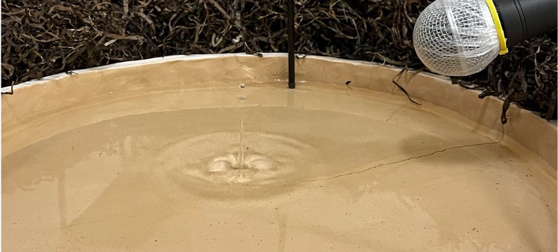 © Jugendkunstschule Vorpommern-Rügen e.V. © Jugendkunstschule Vorpommern-Rügen e.V.