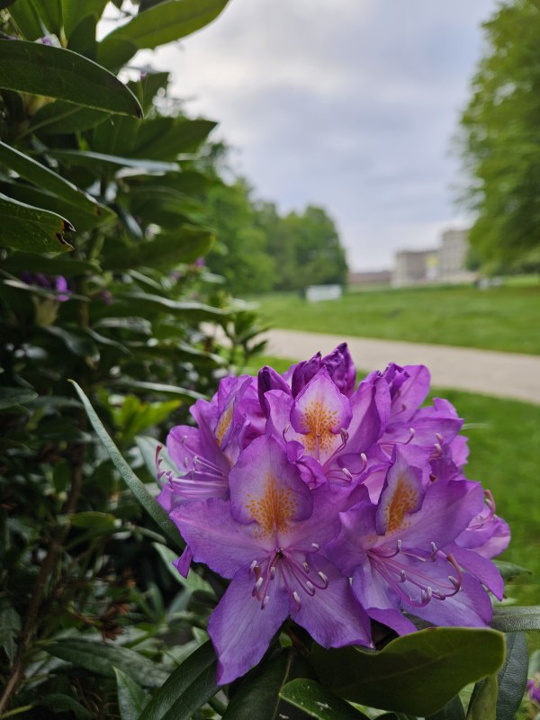 Uitzicht op paleis Ludwigslust Foto H Wegner, &copy; Henrik Wegner