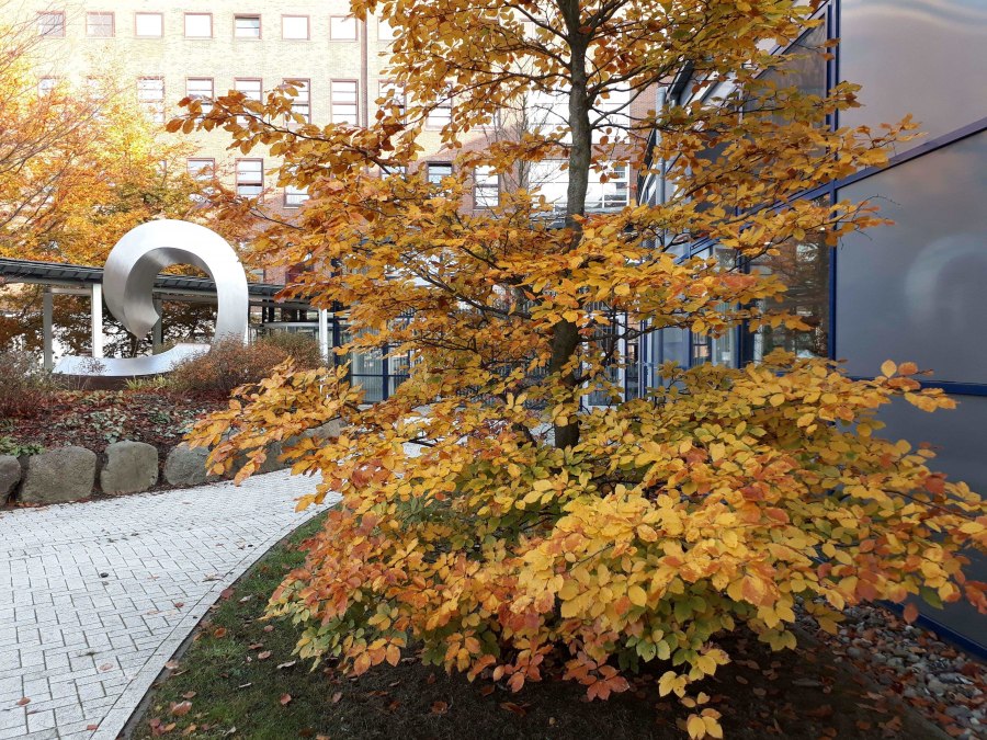 Sculpture "Life Curve" by Klaus-Joachim Albert in the garden courtyard of the Krankenhaus am Sund hospital, © Angela Pfennig