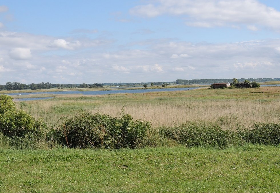 Uitzicht op de kwelders vanaf de rustplaats, © Kurverwaltung Insel Poel